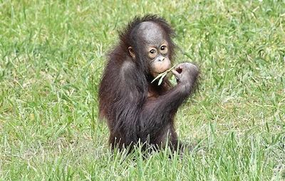 Ferien im Zoo Rostock 