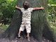 Mit Kindern den Wald erleben