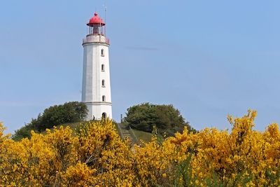 Spezialseminar-TCM 5 auf der Insel Hiddensee – Februar 2021