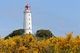 Spezialseminar-TCM 5 auf der Insel Hiddensee – Februar 2021