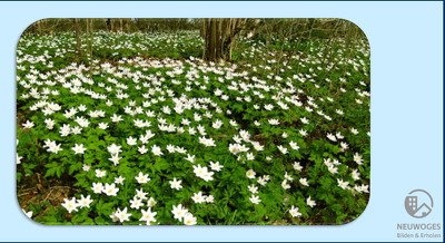 Frühlingswanderung