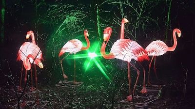 Zoolights Rostock