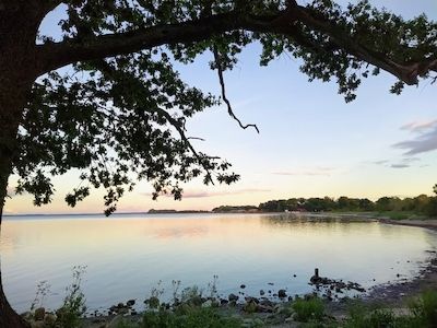 Entdeckungstour am Zierower Naturstrand