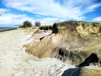 Entdeckungstour am Zierower Naturstrand