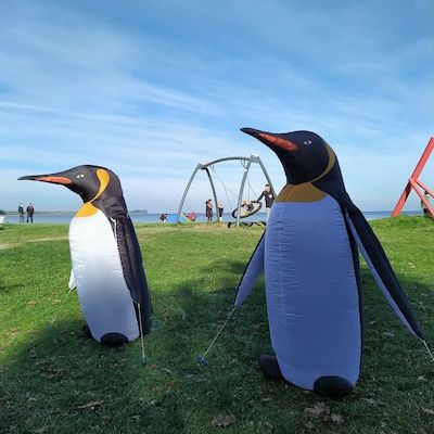 Farbenfrohes Drachenfest am Strand