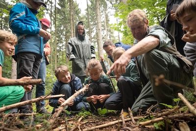 FamilienWaldZeit - Walderlebnistag für Familien