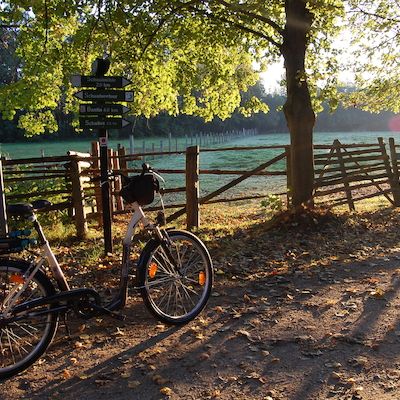 Unterwegs mit dem Ranger - Radtour um den Schaalsee