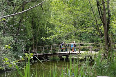 Unterwegs mit dem Ranger - Natur mit allen Sinnen