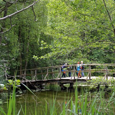 Unterwegs mit dem Ranger - Natur mit allen Sinnen