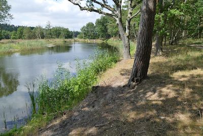 Unterwegs am Grünen Band - Rangerwanderung durch die Dorfrepublik Rüterberg