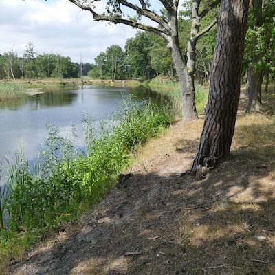 Unterwegs am Grünen Band -  Rangerwanderung durch die Dorfrepublik Rüterberg 