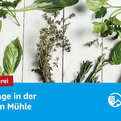 Kräuterhexerei