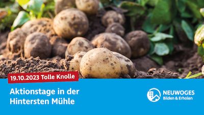 Tolle Knolle
