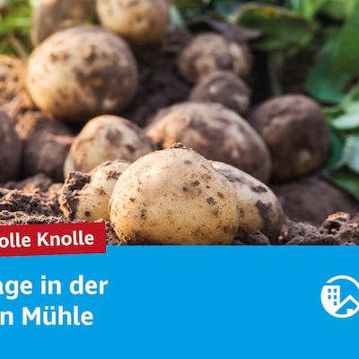 Tolle Knolle