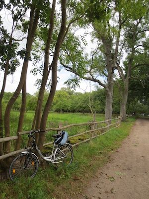 Unterwegs mit dem Ranger - Radtour auf dem Grünen Band um den Schaalsee