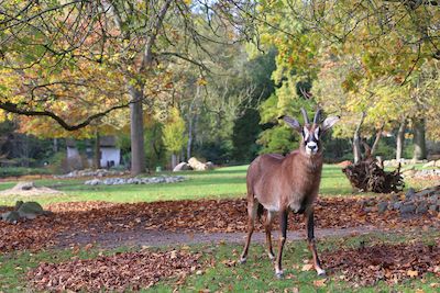 Herbstbasteln