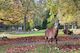 Herbstbasteln