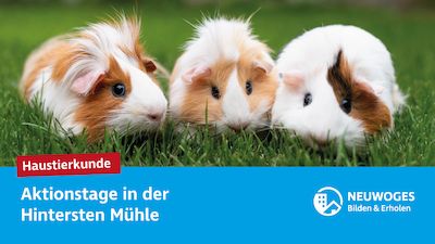 Haustierkunde