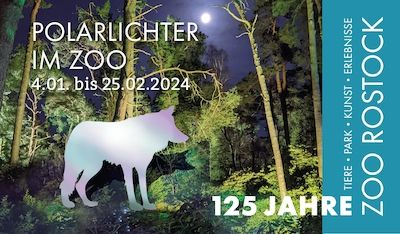Polarlichter