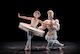 Das Triadische Ballett