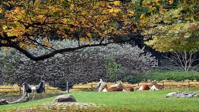 Herbstbasteln