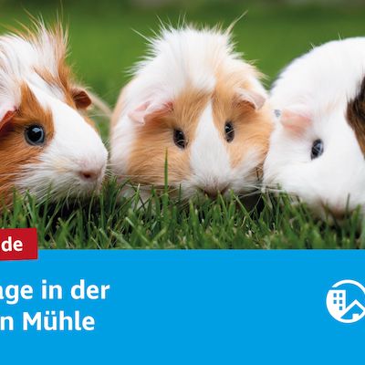 Haustierkunde