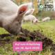 Arbeitstag im Land der Tiere