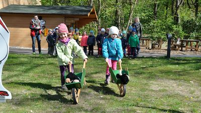 Tierische Olympiade