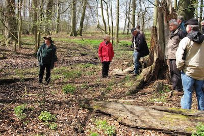 Osterwanderung zu den Wäldern und Feldgehölzen im Raum Pritzier