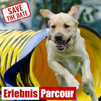 ErlebnisParcour für Hund und Halter