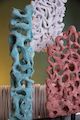 Amygdala: Plastik und Grafik von Georg Hundt