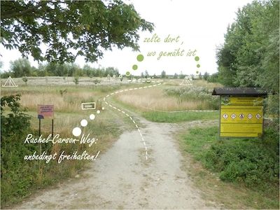Wildes Zelten auf dem Tannenhof
