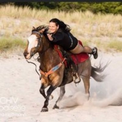 Action-Show mit Pferden- dienstags
