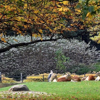 Herbstbasteln