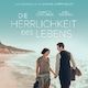 Kleines Kino im Literaturhaus 