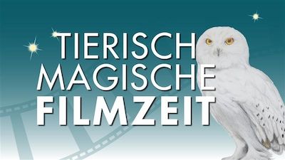 Tierisch-magische Filmzeit