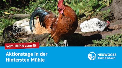 Vom Huhn zum Ei