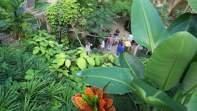 Darwineum- und Polarium-Entdeckerpass