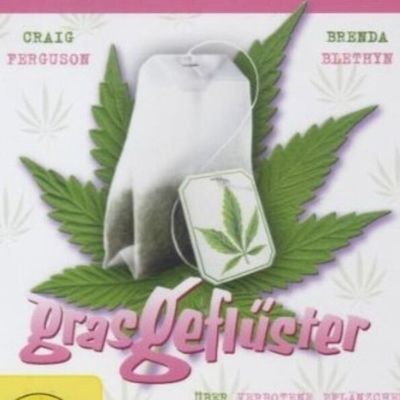 Kleines Kino im Literaturhaus 