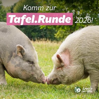 Tafel.Runde mit Sarah Maria Straub im Land der Tiere