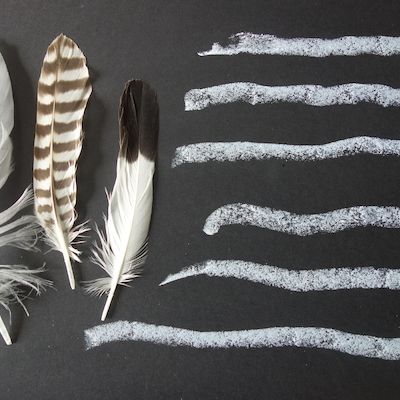 Kalligrafische Phantasien