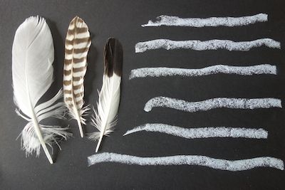 Kalligrafische Phantasien