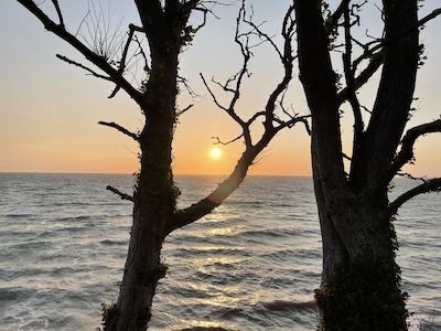 „Weit breite ich die Flügel aus…“ (Else Lasker-Schüler)