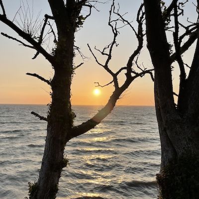 „… ein atemberaubender Spiegel aus Flaschengrün und Mancherleiblau und Silberglanz“ (Erich Kästner)