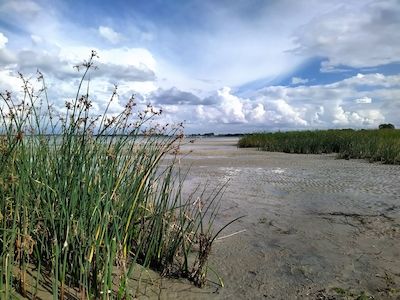 Sauber in die Strandsaison