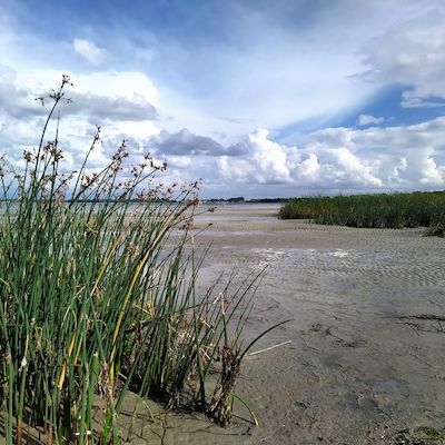 Sauber in die Strandsaison