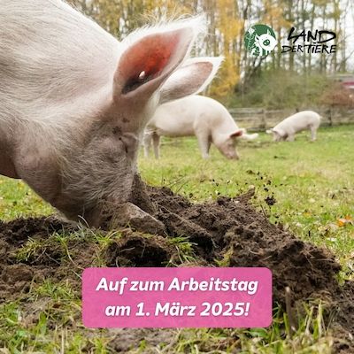 Arbeitstag im Land der Tiere