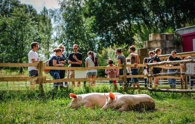Besuchszeit im Land der Tiere