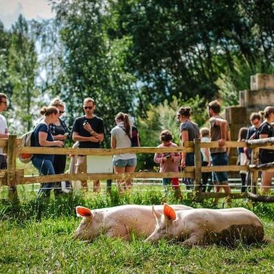 Besuchszeit im Land der Tiere