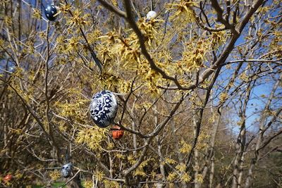 „Wie schön! – Wie schön!“